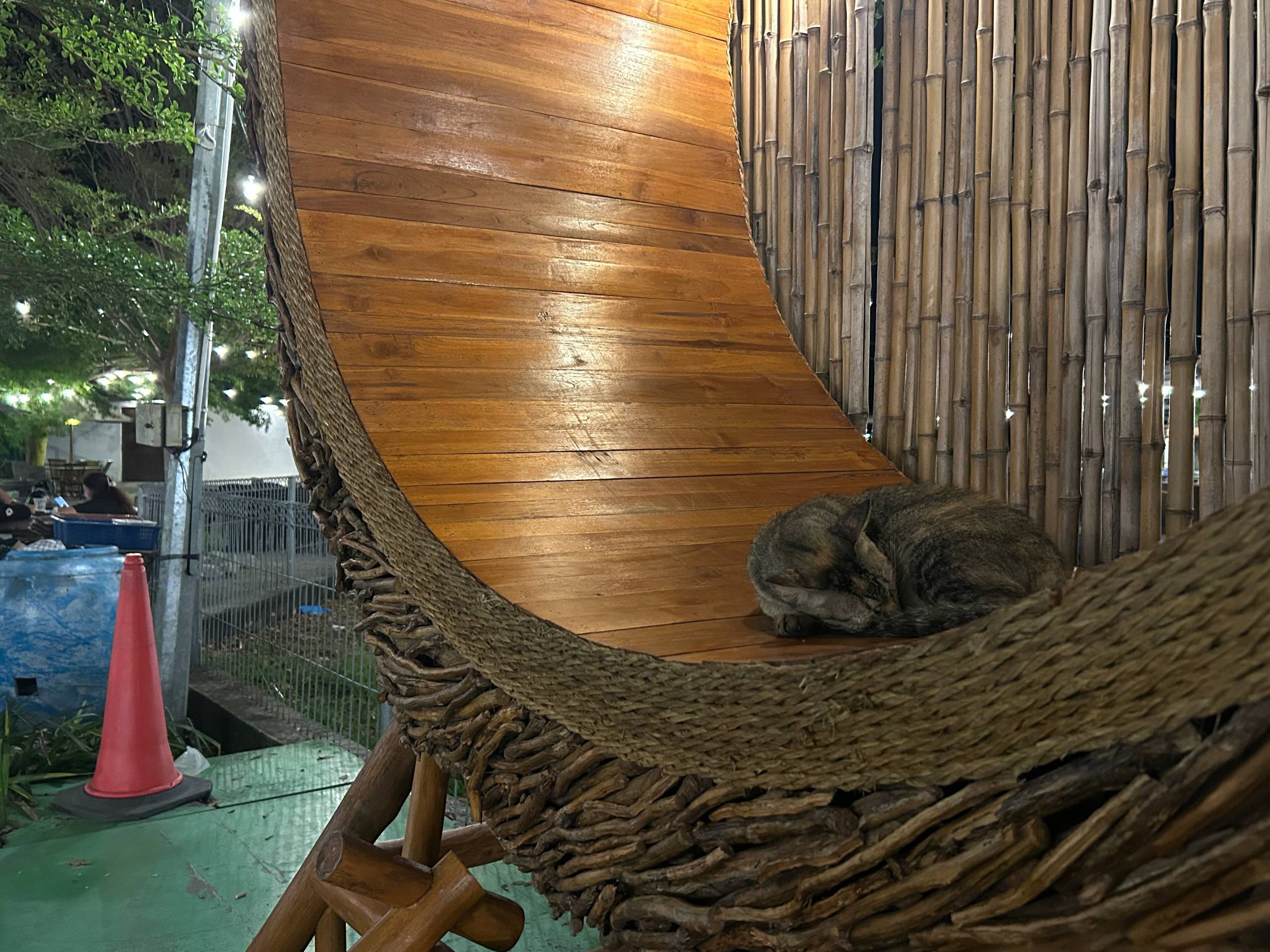 A cat resting in a woven chair.
